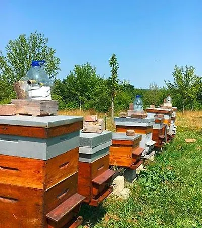 Domaine Des Essarts 3* Lessard-et-le-Chene