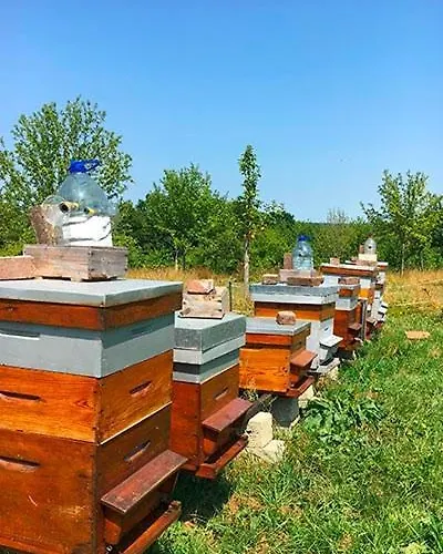 Domaine Des Essarts 3* Lessard-et-le-Chene